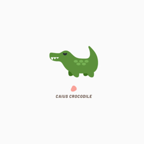 Caius Crocodile