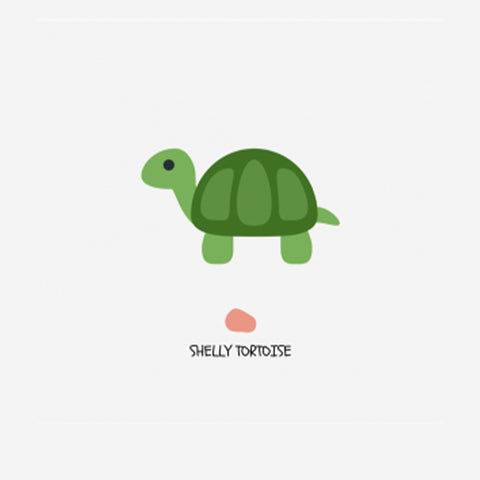 Shelly Tortoise