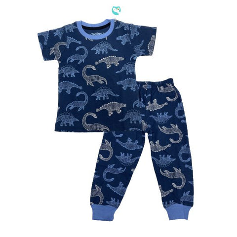 Mellow Blue Dinosaur Kids Sleepwear